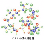 CPLの環状構造図