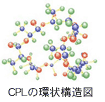 CPLの環状構造図